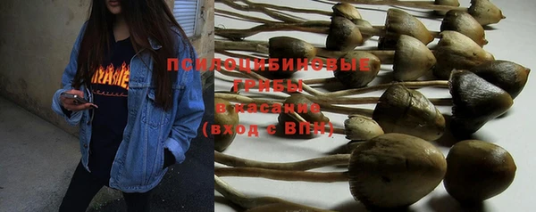мефедрон мука Алексеевка