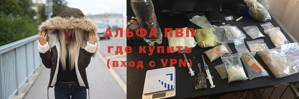 спайс Алзамай