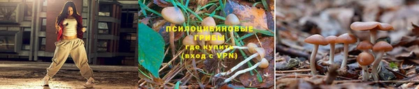кокаин Алексин