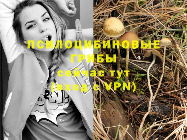 спайс Алзамай