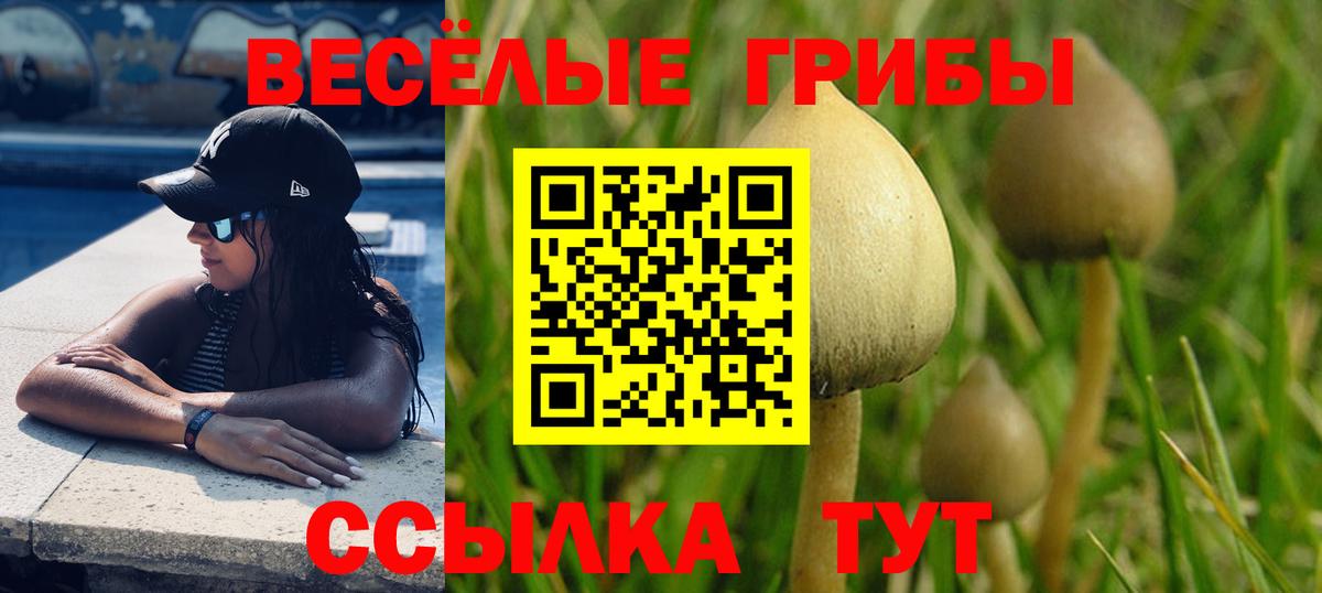 Галлюциногенные грибы Psilocybine cubensis  Вход с VPN  Павловский Посад 